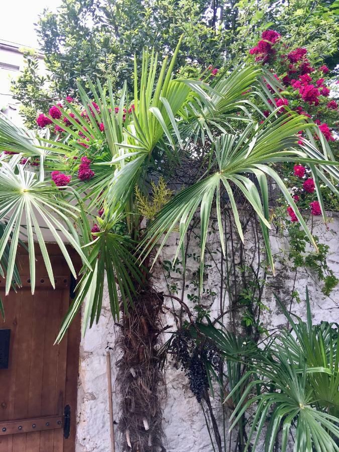 Palmera Mostar Eksteriør billede