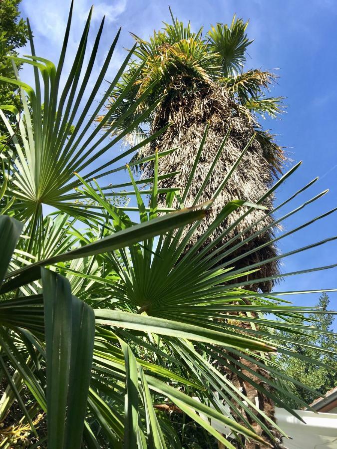 Palmera Mostar Eksteriør billede